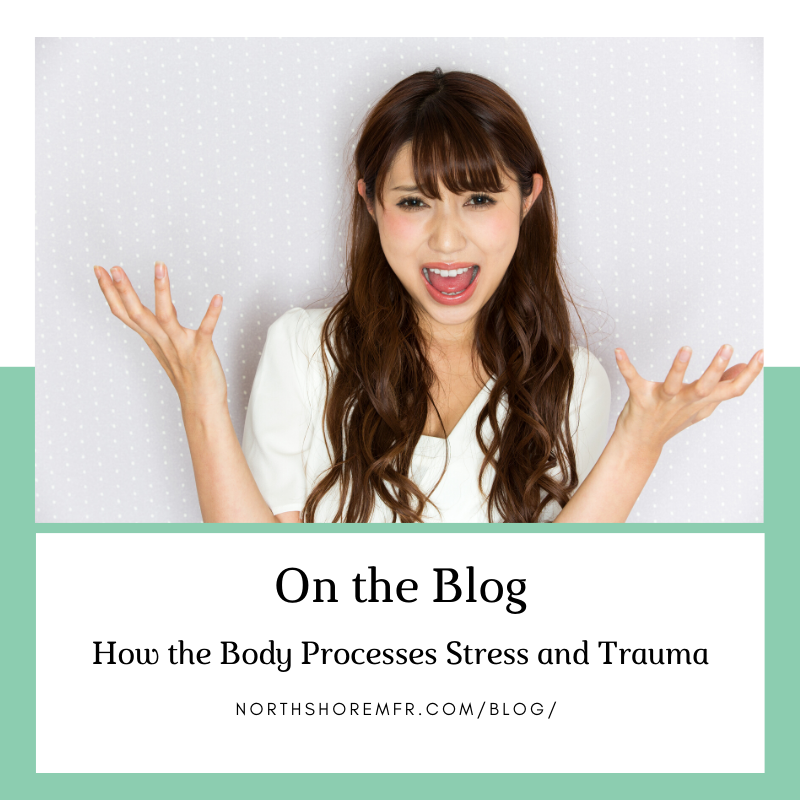 How the Body Processes Stress and Trauma